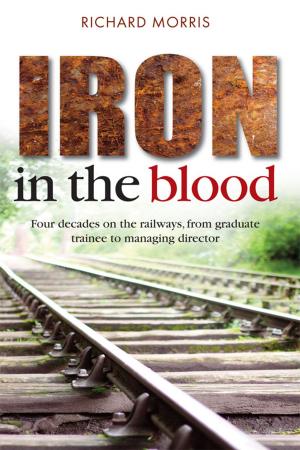 Book cover of Iron in the Blood