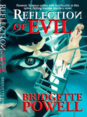 Cover of the book Reflection Of Evil by Steven M. Roth