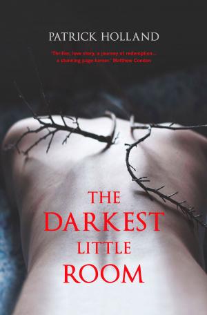 Cover of the book The Darkest Little Room by Hugo Race