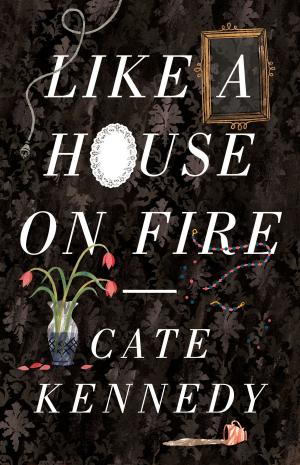 Cover of the book Like a House on Fire by Jonathan King