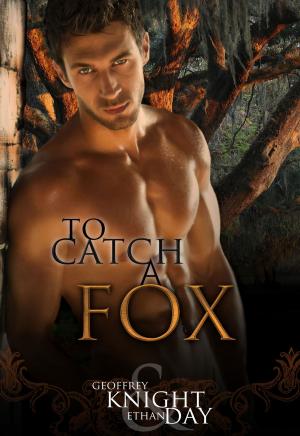 Cover of the book To Catch a Fox by Kat Irwin