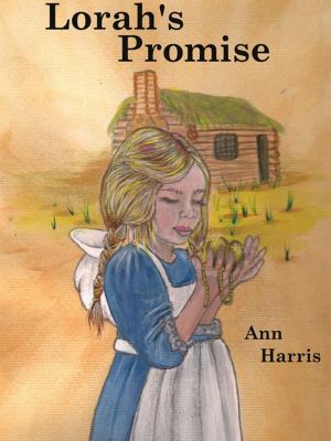Book cover of Lorah's Promise