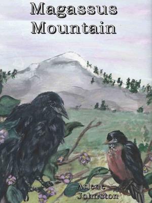 Book cover of Magassus Mountain