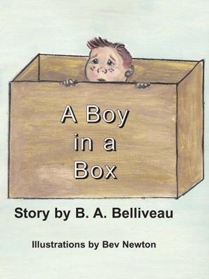 Cover of the book A Boy in A Box by Ann Harris