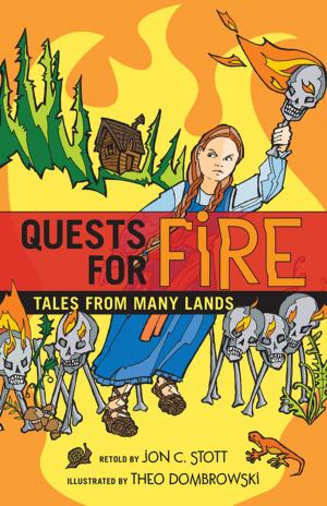 Cover of the book Quests for Fire by Cecil Clark