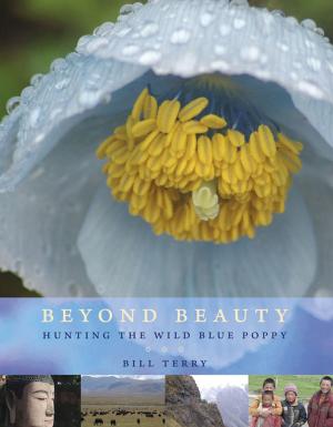 Cover of the book Beyond Beauty by Sandy Frances Duncan, George Szanto