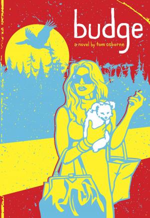 Cover of the book Budge by Robert Strandquist