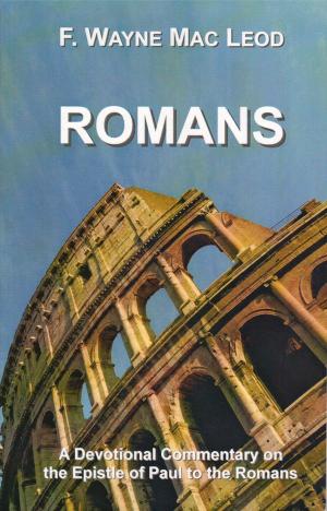 Cover of the book Romans by Brian Vermeer