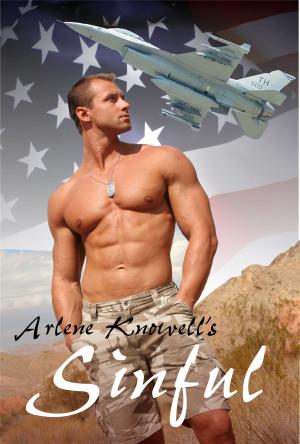 Cover of the book Sinful by Arlene Knowell