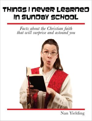 Cover of the book Things I Never Learned in Sunday School by Fernando Davalos