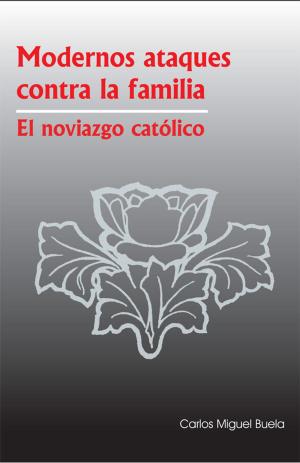 Book cover of Modernos Ataques contra la Familia