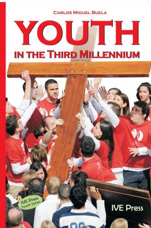 Cover of the book Youth in the Third Millennium by Larry Ventresca