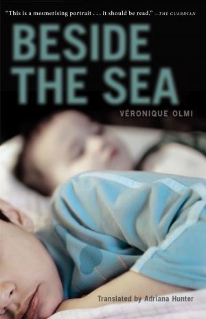 Cover of the book Beside the Sea by Nicolai Houm