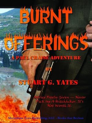 Cover of the book Burnt Offerings by Bret Lambert