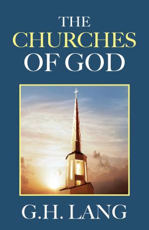 bigCover of the book The Churches of God by 