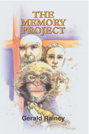 Cover of the book The Memory Project by D. N. Leo
