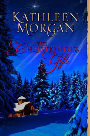 bigCover of the book The Christkindl's Gift by 