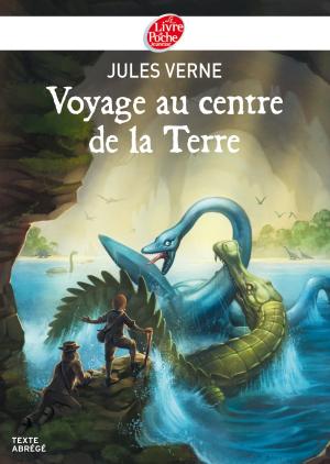 Cover of the book Voyage au centre de la Terre - Texte Abrégé by Odile Weulersse, François Baranger