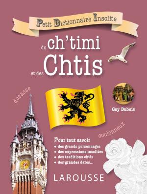 Book cover of Petit dictionnaire insolite du ch'timi et des Chtis