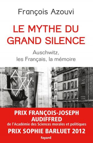 Cover of the book Le mythe du grand silence by Faïza Guène
