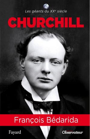 Cover of the book Churchill by Fabrice Arfi, Karl Laske