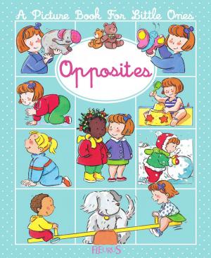 Cover of the book Opposites by Émilie Beaumont, Nathalie Bélineau, Claire Laroussinie, Sylvie Michelet
