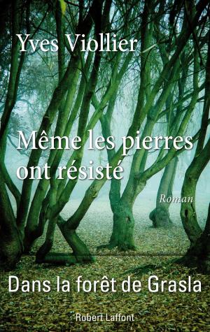 Cover of the book Même les pierres ont résisté by Romain SLOCOMBE