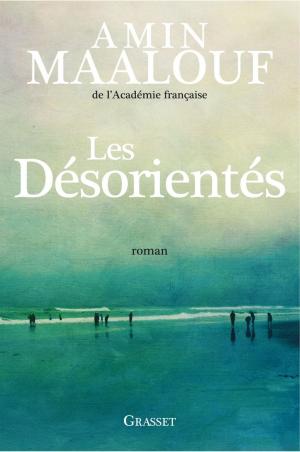Cover of the book Les désorientés by Stephen Shore