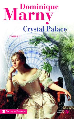 Cover of the book Crystal palace by Denis LEMASSON