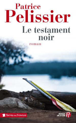 Cover of the book Le testament noir by Delphine de MALHERBE