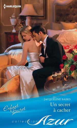 Cover of the book Un secret à cacher by Donna Sterling