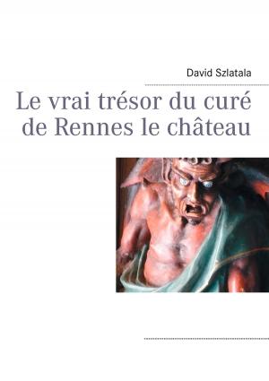 Cover of the book Le vrai trésor du curé de Rennes le château by Michael Milde