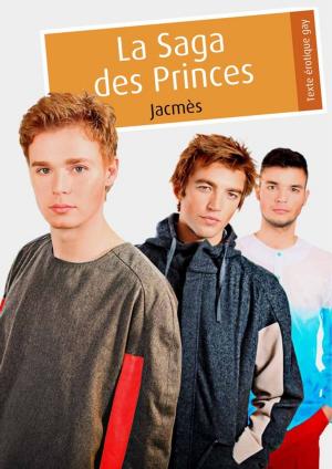 Cover of the book La Saga des Princes (pulp gay) by Philippe Nadeau, Jérôme Marchant