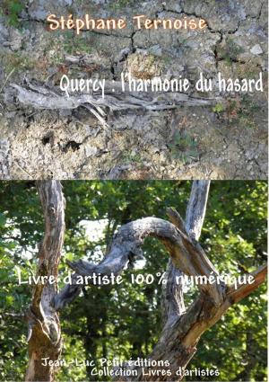 Cover of the book Quercy : l'harmonie du hasard by Suzanne Brooker