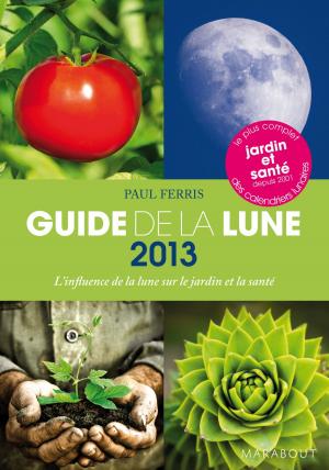 Cover of the book Guide de la lune 2013 by Candice Kornberg-Anzel, Camille Skrzynski, Eve Aboucaya