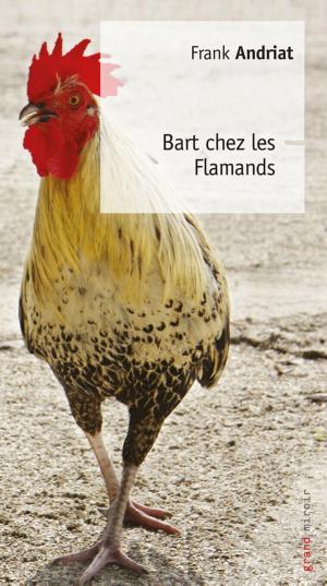 Cover of the book Bart chez les Flamands by Frederik De Backer