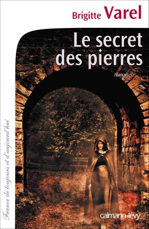 Cover of the book Le Secret des pierres by Anthony Horowitz
