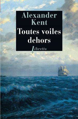 Cover of the book Toutes voiles dehors by Bernard Ollivier