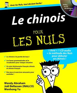 Cover of the book Le Chinois Pour les Nuls by Chris CARTER