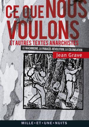 Book cover of Ce que nous voulons