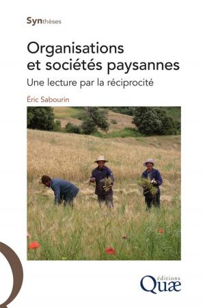Cover of the book Organisation et sociétés paysannes by G. De Saint-Aubin