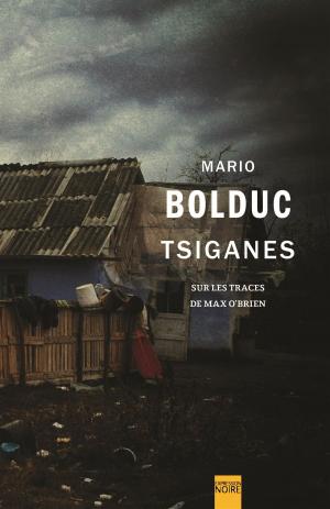 Cover of the book Tsiganes by Nathalie Roy