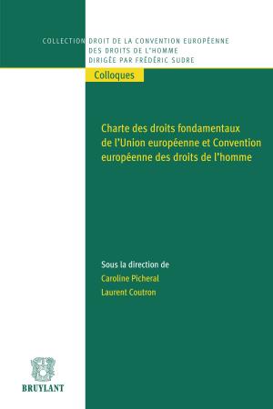 Cover of the book Charte des droits fondamentaux de l'Union européenne et Convention européenne des droits de l'homme by Laurent du Jardin, Francesco Trapani, Joseph Vogel, Louis Vogel