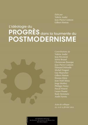Cover of the book L'idéologie du progrès dans la tourmente du postmodernisme by Baudouin Decharneux
