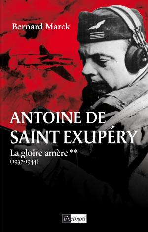 Cover of the book Antoine de Saint Exupéry T2 : La gloire amère by Xavier de Bayser