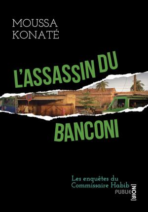 Cover of the book L'assassin du Banconi by Christine Jeanney