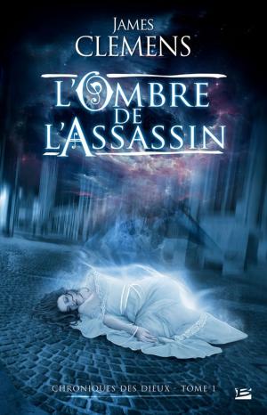 Cover of the book L'Ombre de l'assassin by C.S Pacat