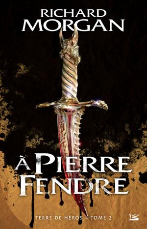 Cover of the book A pierre fendre by Richard Sapir, Warren Murphy