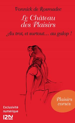 Cover of the book Le Château des Plaisirs - Au trot, et surtout... au galop ! by Laura Syrenka