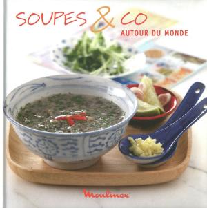 Cover of the book Soupes & Co autour du monde by Thierry Marx